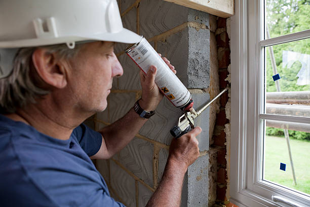 Best Wall Insulation Installation  in Columbia, IL